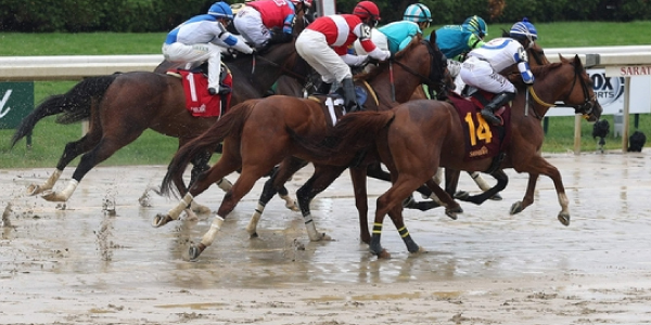 2025 Belmont Stakes handicap predictions: Top picks for this year's high-stakes race