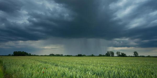 Secret Rain Pattern May Have Driven Long Spells of Dry and Wetter Periods Across Horn of Africa: Study
