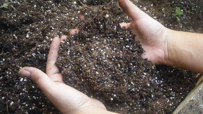World Soil Day on December 5: protecting the ground beneath our food