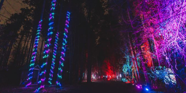 Bluewater Technologies Honored as Silver Stevie® Award Winner in the 2025 American Business Awards® for “Interactive Outdoor Event”
