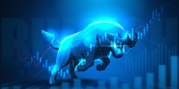 Paytm, Netweb Tech shares may see more upside, says Ventura's Vinit Bolinjkar; prefers Maruti, Hyundai in autos