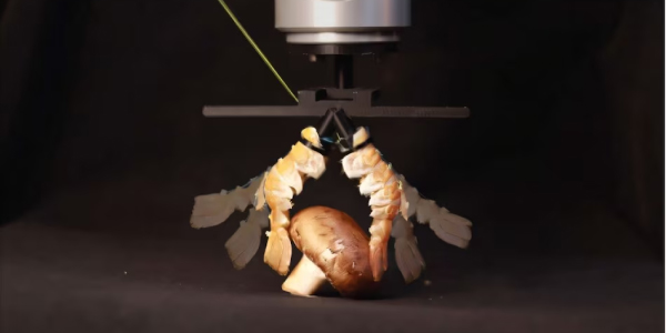 Engineers Turn Lobster Shells Into Robot Parts That Lift, Grip and Swim