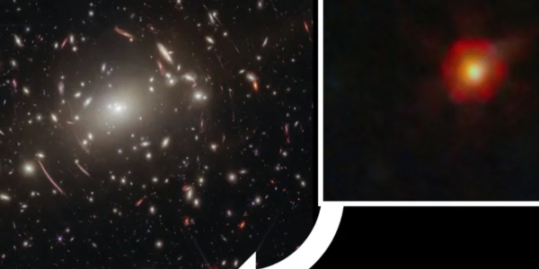 JWST Reveals the True Identity of Mysterious Little Red Dots